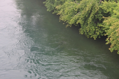 Тематическое фото Наталия Раткевич, ИА IrkutskMedia