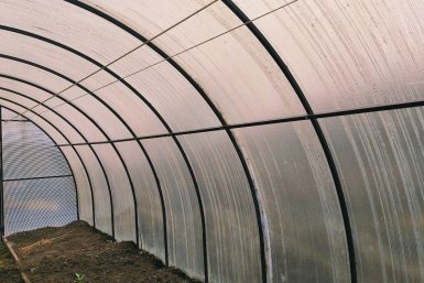 Теплица Автора