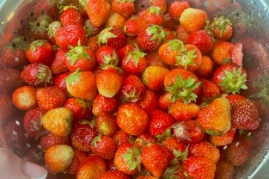 Что сажать после клубники, чтобы не остаться без урожая — этот овощ прекрасно растет на обедневшей земле ИА StavropolMedia