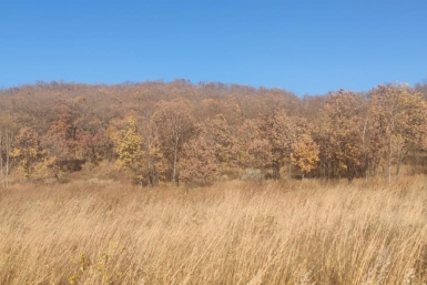 Тематическое фото Марина  Померанцева , ИА EAOMedia