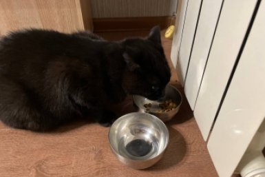  ИА Stavropol.Media