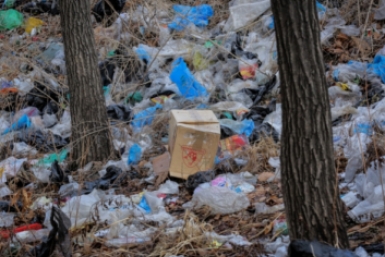 Рейтинг опасных незаконных свалок для ликвидации в первую очередь составили на Ставрополье Антон Балашов, ИА PrimaMedia