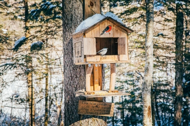 Сезон охоты на водоплавающую дичь завершился на Ставрополье Мария Смитюк, ИА PrimaMedia