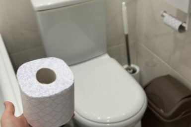 Сантехники хватаются за голову: почему нельзя смывать туалетную бумагу в унитаз - точно этого не знали ИА Stavropol.Media