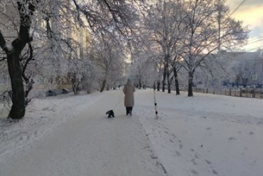 Морозную ночь обещают синоптики 27 января на Ставрополье ИА Stavropol.Media