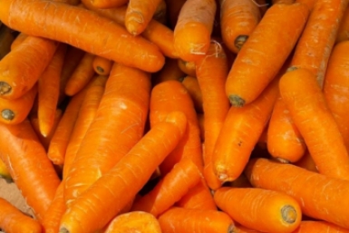 С такой морковью картошка не нужна: крупная, сочная, сладкая - и в суп, и к мясу, и на выпечку ИА StavropolMedia