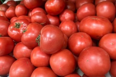 Помидоры продолжают экстремально дорожать на Ставрополье ИА Stavropol.Media