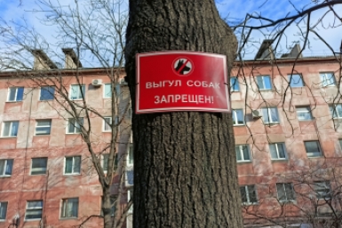 Тематическое фото Василий Тарасенко, ИА Nakhodka.Media