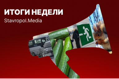Архив Эпштейна, угрозы школам, золотые огурцы и погодный коллапс: неделя на Ставрополье ИА Stavropol.Media