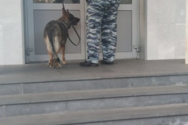 Информация об угрозе теракта в Ессентуках не подтвердилась ИА Stavropol.Media