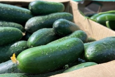 Огурцы дорожают в Ставрополе ИА Stavropol.Media