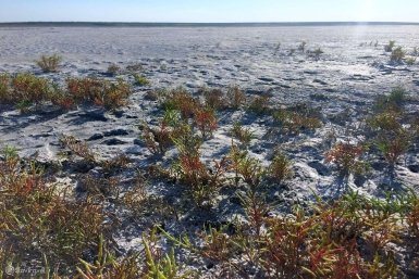 Мобильный интернет стал быстрее на ставропольском &quotМертвом море&quot сайт StavTravel (6+)