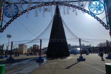 Новогодний ёлочный лес останется на площади Ленина до конца зимы в Ставрополе ИА Stavropol.Media