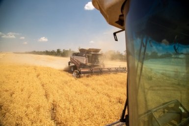 Как получить доплату за сельский стаж, рассказали на Ставрополье ИА Stavropol.Media