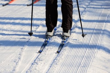 Россияне чаще открывают для себя новые виды спорта и активно страхуются на случай травм Евгений  Кулешов, ИА PrimaMedia.ru