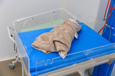 Тематическое фото Евгений  Кулешов, ИА PrimaMedia