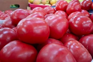 Не убираю помидоры в холодильник: соседка научила, как на 3 месяца сохранить их свежими ИА Stavropol.Media