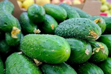 По 300 рублей за кг: эксперты дали прогноз, когда снизятся цены на огурцы в России ИА Stavropol.Media