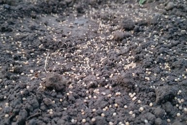 Фото автора автора