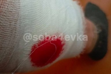 Пострадавшая ТГК &quotМоя СобачЁвка МВ&quot (18+)