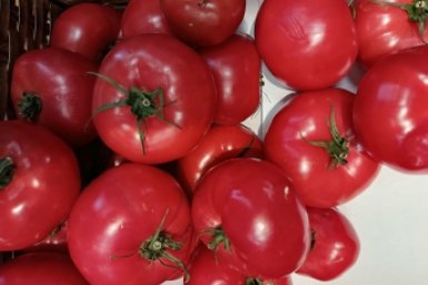От малышей до великанов по 300 гр: 3 сорта томатов слаще конфет - дети едят прямо с куста ИА StavropolMedia