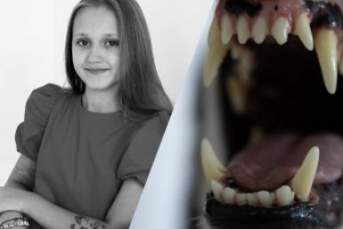 365 дней без дочери: год назад собаки загрызли 9-летнюю девочку в Ставрополе