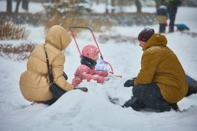 Онлайн-консультацию о едином пособии провёдет 27 февраля СФР Ставрополья Дмитрий Осипчук, ИА PrimaMedia.ru