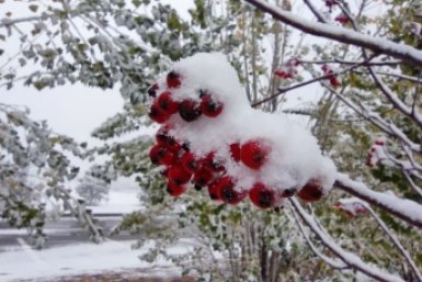 Снег обещают синоптики на Ставрополье ИА Stavropol.Media