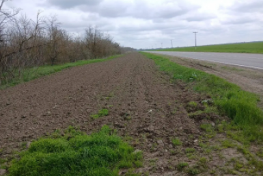 Работы по защите лесов от пожаров стартовали на Ставрополье Минприроды Ставрополья