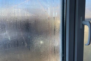 Ставлю на подоконник в марте, и конденсата нет даже в ливень - окна сухие всю весну ИА Stavropol.Media