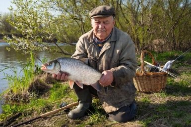 Дед-сосед ловит по 10 кг за утро, а я сидел пустой. Выведал рецепт его коронной насадки ИИ Kandinsky (18+)