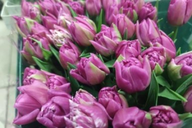 Город женщин и коллажи художниц всей страны: афиша на выходные в Ставрополе ИА Stavropol.Media