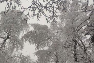 Почти семь часов действовала опасность БПЛА на Ставрополье ИА Stavropol.Media