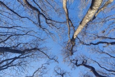 15 часов длился режим беспилотной опасности с 8 марта на Ставрополье ИА Stavropol.Media