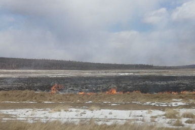 Леса и дачные участки готовят к пожароопасному сезону в Ставрополе Абрамченко Анета