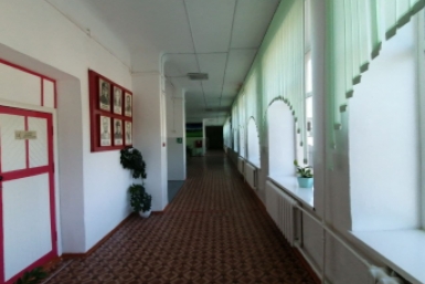 В дебатах и на мастер-классах выберут директора школы года на Ставрополье Абрамченко Анета, ChitaMedia