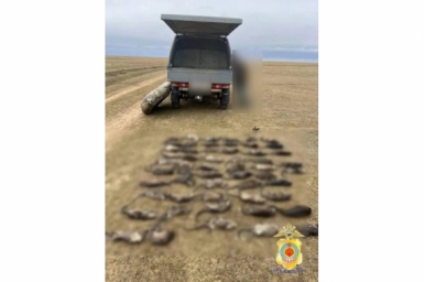 Жителя Ставрополья поймали с 55 незаконно добытыми тушками ондатр в багажнике Пресс-служба МВД по Калмыкии