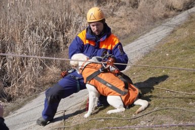 Спасатели Ставрополья отразили условный паводок на масштабных учениях в станице Незлобной пресс-служба ПАСС СК