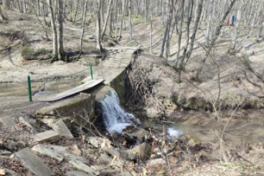 Проект терренкуров в Таманском лесу одобрили общественники Ставрополя ИА Stavropol.Media