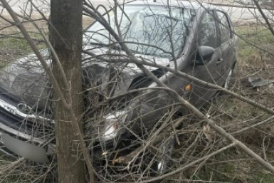 Пенсионер врезался в дерево и погиб в Пятигорске Госавтоинспекция Ставрополья