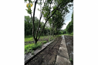 Застройщик выплатит 3,9 млн рублей за незаконную вырубку деревьев на Ставрополье Пресс-служба прокуратуры Ставрополья