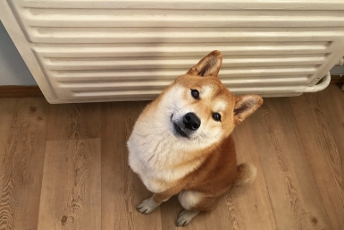 Возможен ли перерасчёт за отопление после аварий, разъяснили в минЖКХ Ставрополья Мария Смитюк, ИА PrimaMedia