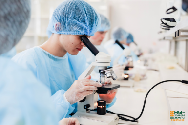 Сотня ставропольских школьников погрузились в современные технологии АПК Пресс-служба СтГАУ