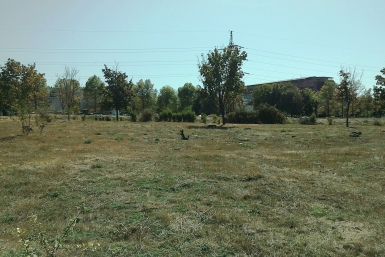 Бастрыкин ждёт доклад по делу о нарушении прав многодетной семьи в Пятигорске Петр Максимов