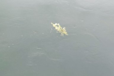 Тело малолетнего ребенка нашли пойме р. Кура на Ставрополье ИА Stavropol.Media