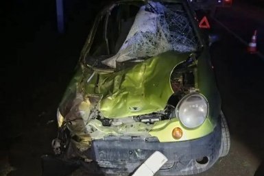 Лошадь пробила лобовое стекло машины в ДТП на Ставрополье, есть пострадавшая пресс-служба ПАСС СК