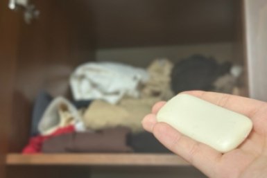 Секрет элитных отелей: зачем горничные кладут обычное мыло в шкаф с одеждой ИА Stavropol.Media