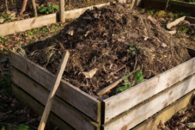 До осени не жду, применяю как есть: что делать с компостом, если не успел перепреть — 3 способа ИИ GigaChat (18+)