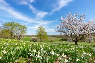 Каждый школьник СССР знал эти 7 весенних пословиц, а вы? - ТЕСТ ИИ Kandinsky (18+)