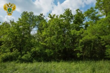 Прокуратура отстояла сохранность заказника &quotЛесная Дача&quot на Ставрополье Пресс-служба прокуратуры Ставрополья